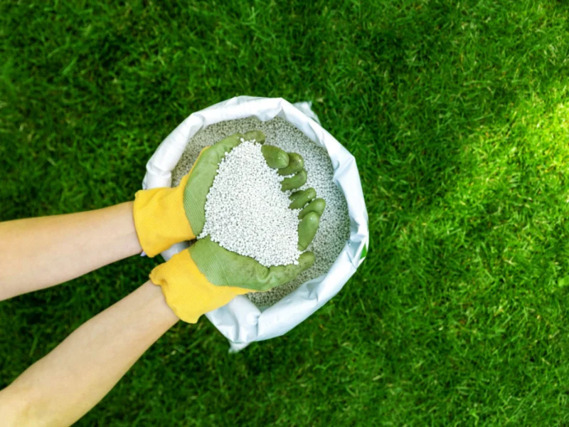 Fertilizer stocks – who’s harvesting the most ?